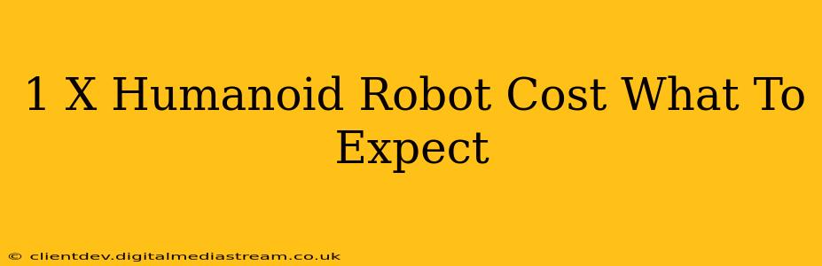 1 X Humanoid Robot Cost What To Expect