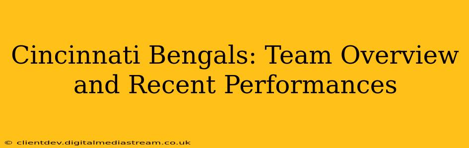 Cincinnati Bengals: Team Overview and Recent Performances
