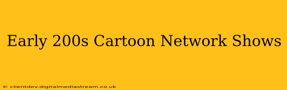 Early 200s Cartoon Network Shows