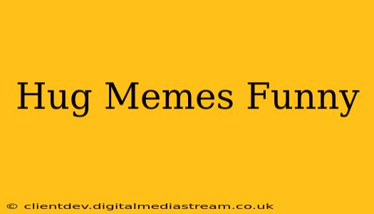 Hug Memes Funny