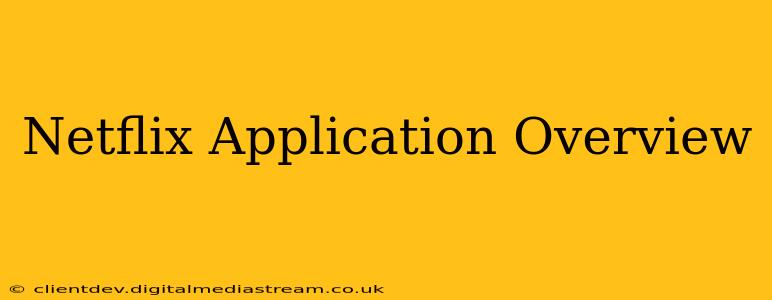 Netflix Application Overview