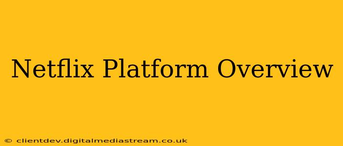 Netflix Platform Overview