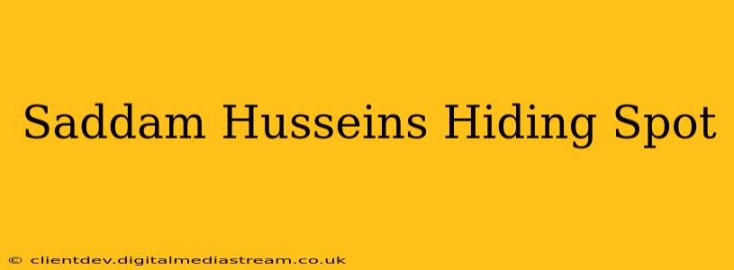 Saddam Husseins Hiding Spot