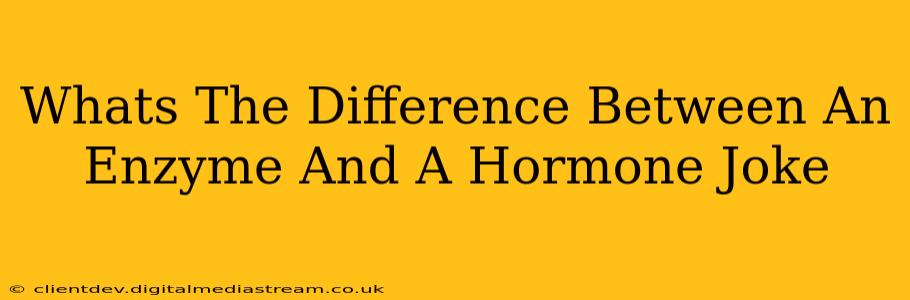 Whats The Difference Between An Enzyme And A Hormone Joke