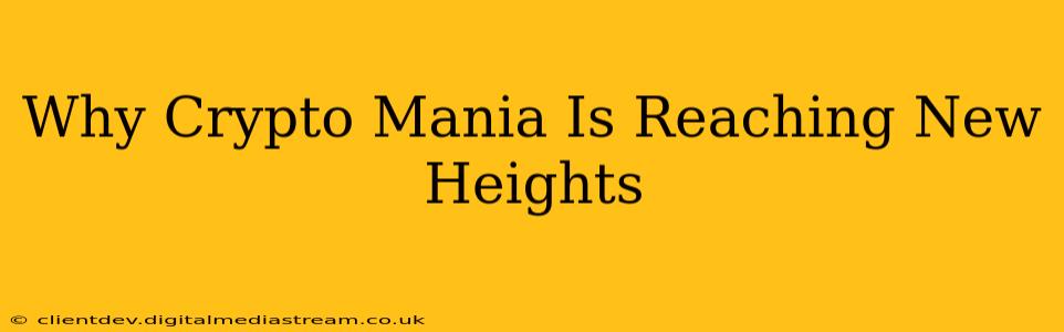 Why Crypto Mania Is Reaching New Heights